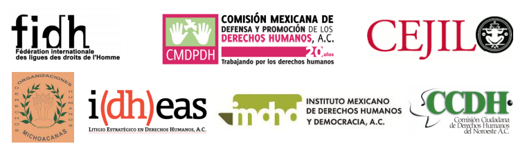 Informe presentado ante la Comisión Interamericana de Derechos Humanos, CIDH