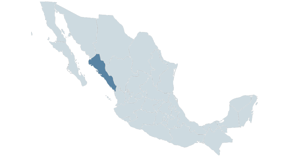 México debe garantizar protección de defensora desplazada en riesgo