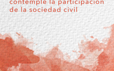 Carta: implementar un mecanismo de seguimiento, adecuado, efectivo y que contemple la participación de la sociedad civil
