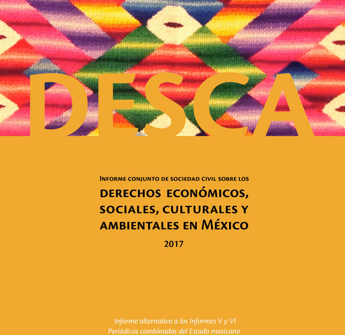 Informe Alternativo DESCA conjunto 2017