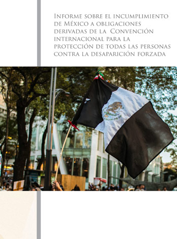 Informe de Incumplimiento de México a Obligaciones Derivadas de la Convención Internacional para la Protección de Todas las Personas contra la Desaparición Forzada