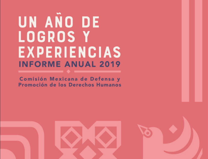 Un año de logros y experiencias: informe anual 2019 CMDPDH