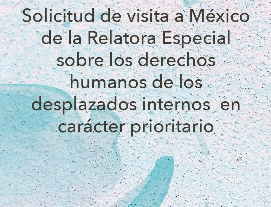 Solicitud de visita a México de la Relatora Especial sobre los derechos humanos de los desplazados internos en carácter prioritario